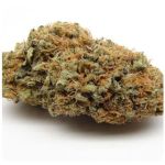 Шишки AK47 (Гидропоника, Бошка) VHQ в Сафоново Шишки AK47 (Гидропоника, Бошка) VHQ в Сафоново